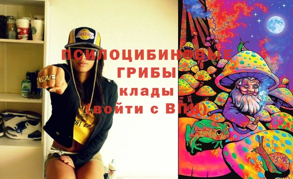 мдпв Гусь-Хрустальный