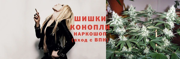 скорость Гусев