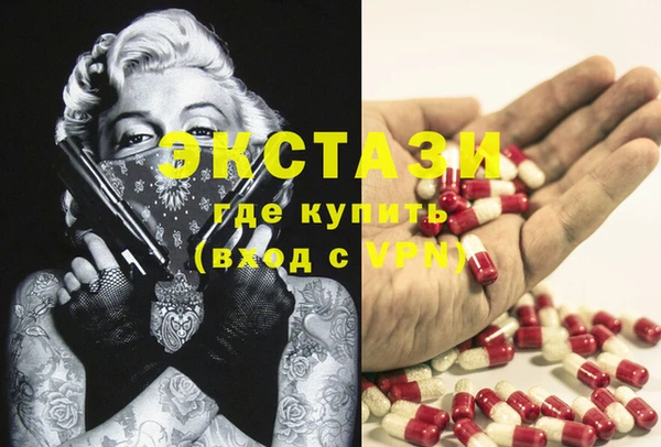 мдпв Гусь-Хрустальный
