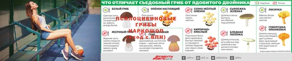 скорость Гусев