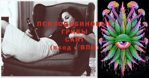 мдпв Гусь-Хрустальный