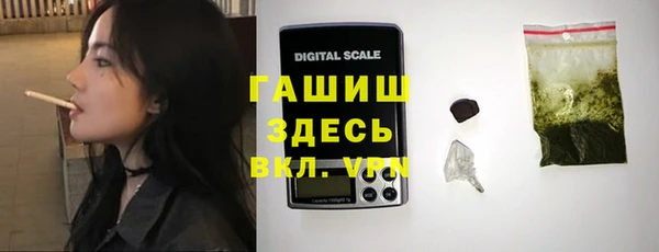 мдпв Гусь-Хрустальный