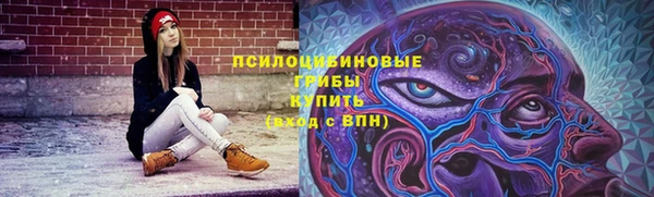 мдпв Гусь-Хрустальный