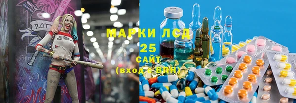 мдпв Гусь-Хрустальный