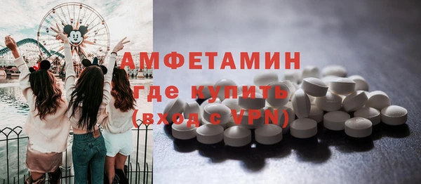 мдпв Гусь-Хрустальный