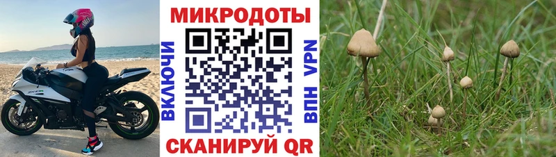 Купить  Жигулёвск  Псилоцибиновые грибы Magic Shrooms 